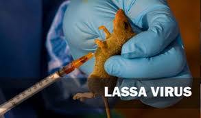 LASSA