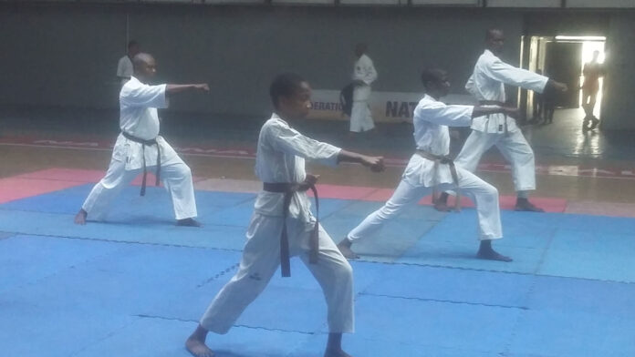 Shinto-Ryu-Karate