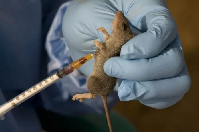 LASSA-FEVER-1024x682