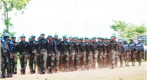 OIP (37)