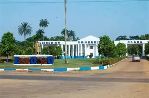 MDCN