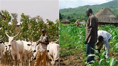 farmer herder